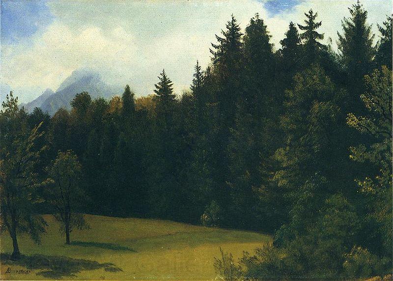 Albert Bierstadt Greater San Francisco Area (Mountain Glade and Mountain Resort)